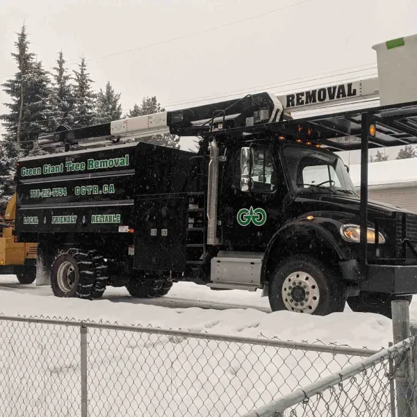 New green giant tree removal bucket truck